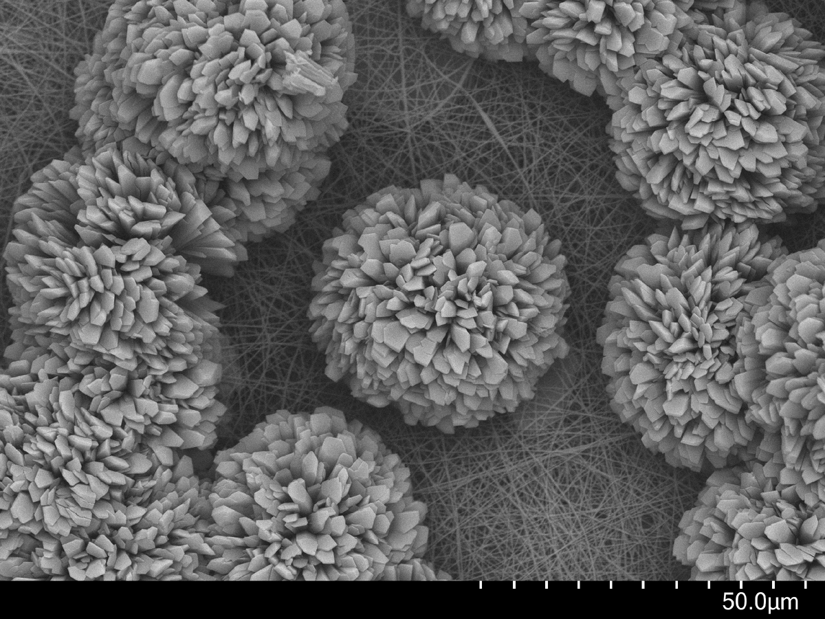 Микрофотография поверхности гибридной мембраны на основе трековой мембраны, нановолокон из хитозана и МОКП
