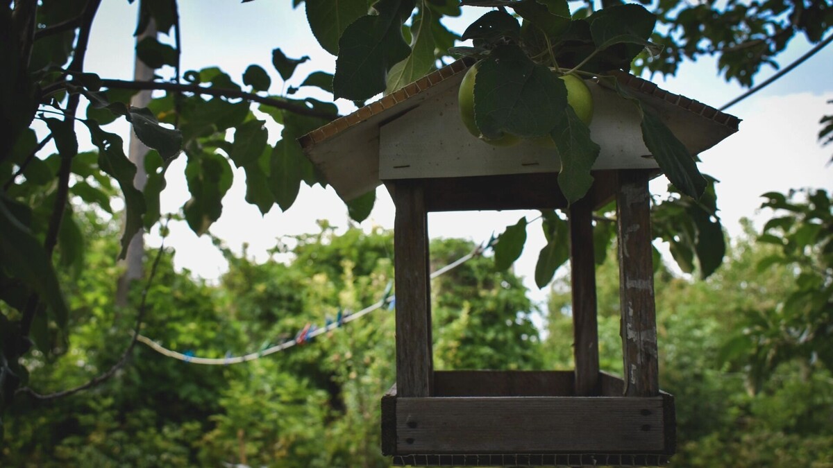     Источник: 1MI