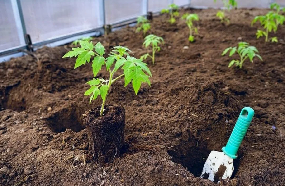 Источник фото: kasheloff.ru