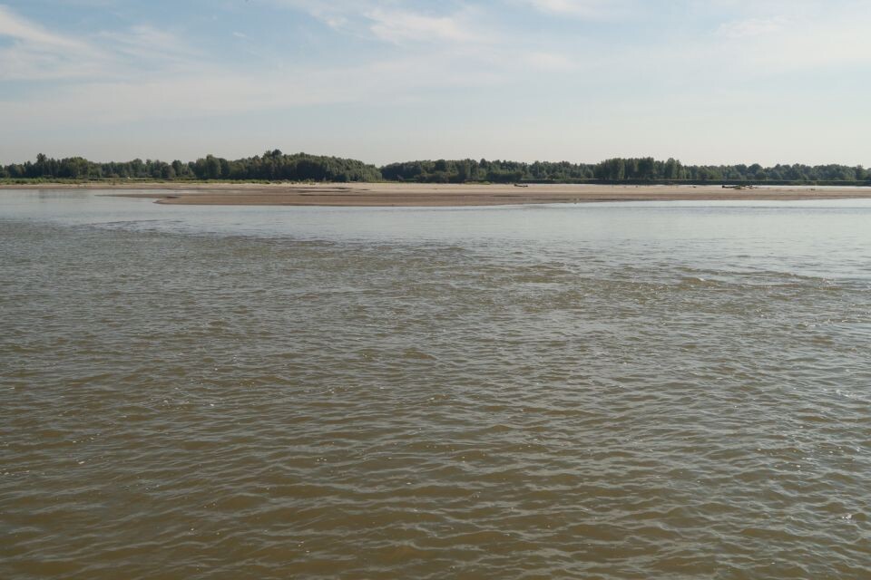    Вид на Обь с борта теплохода. Источник: Олег Укладов