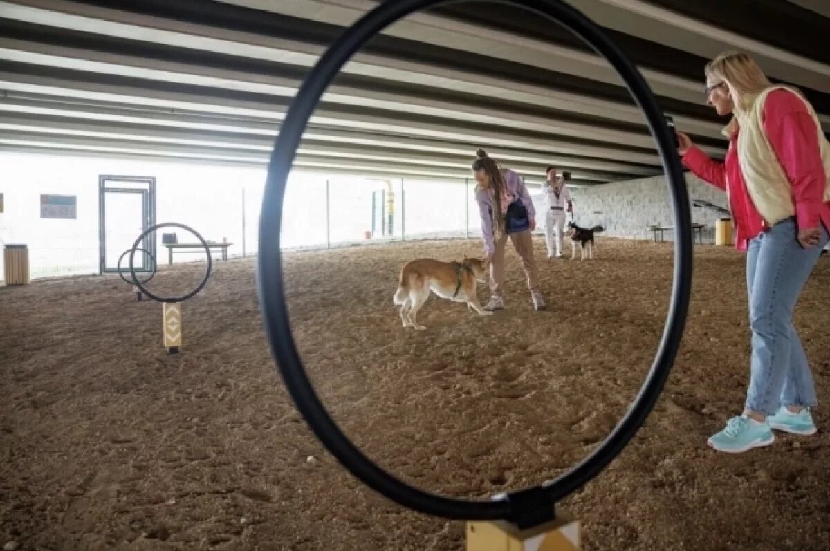    В Екатеринбурге открылась новая площадка для выгула собак