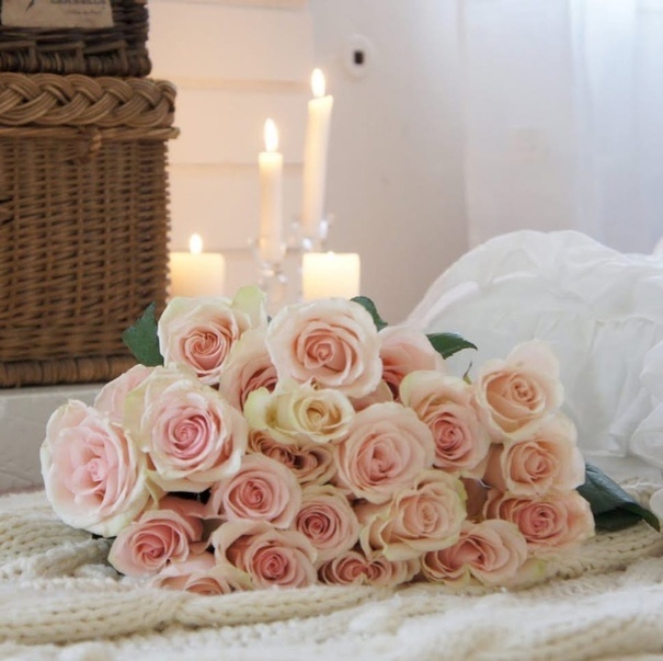 Яндекс.Картинки