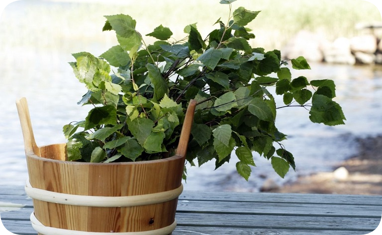 НУЖНО ЛИ ПОСЕЩАТЬ БАНЮ ЛЕТОМ