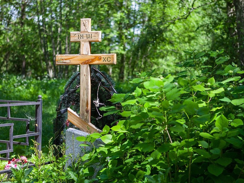    Фото: flickr.com Василий Шеин