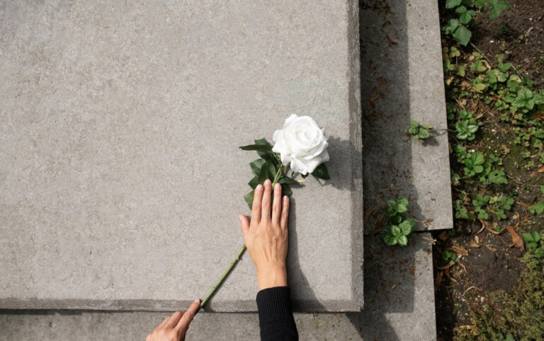    Фото: freepik.com/freepik Ольга Чистова