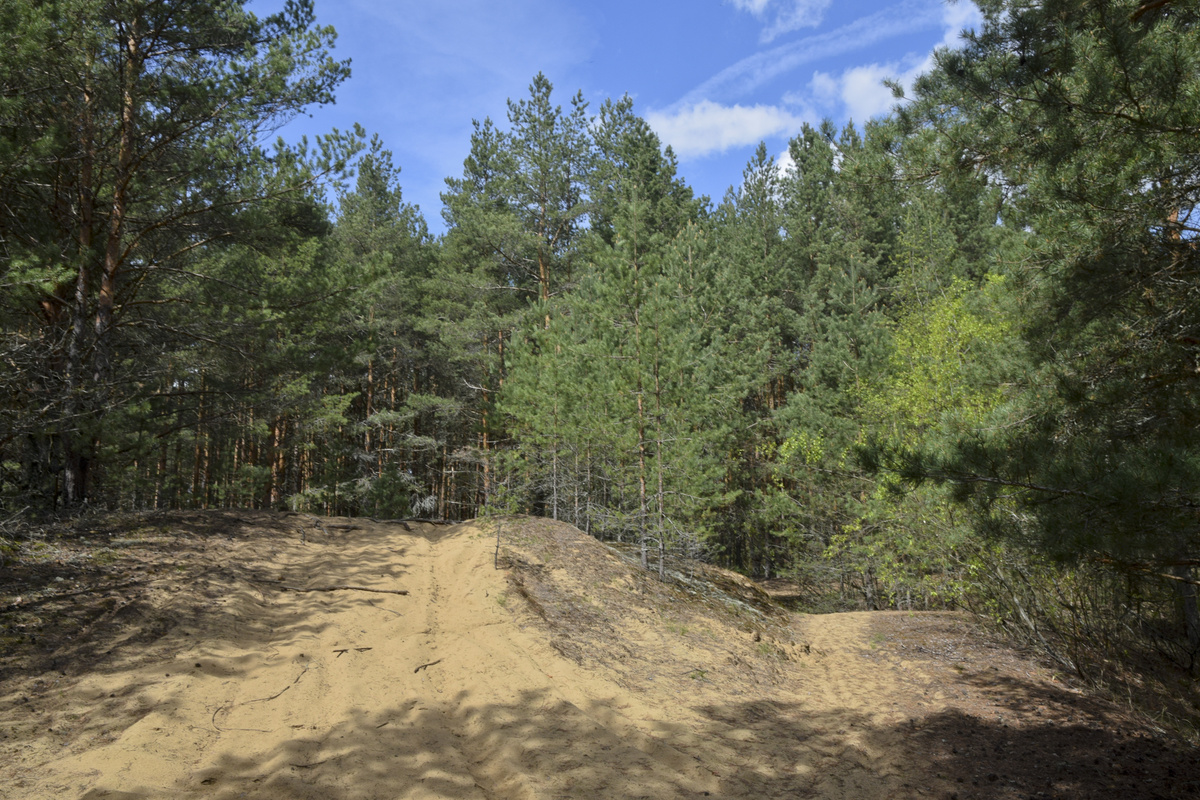 Стоянка древнего человека каменного века эпохи мезолита на берегу реки Клязьма 