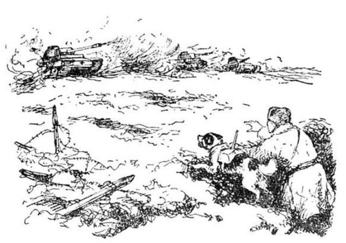 Страшные реалии войны: для собаки-подрывника выполнение команды инструктора означало неминуемую гибель. Фото danviet.mediacdn.vn