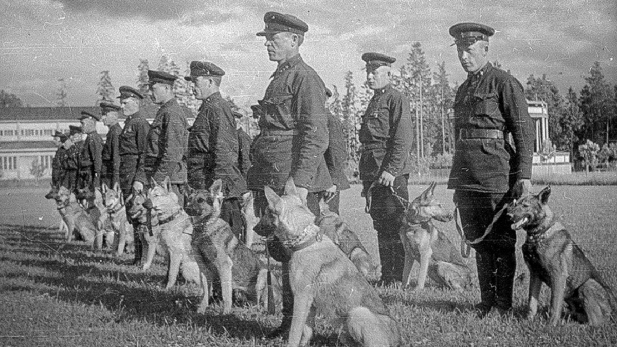 Фото из личного архива Нинель Устиновой/russiainphoto.ru