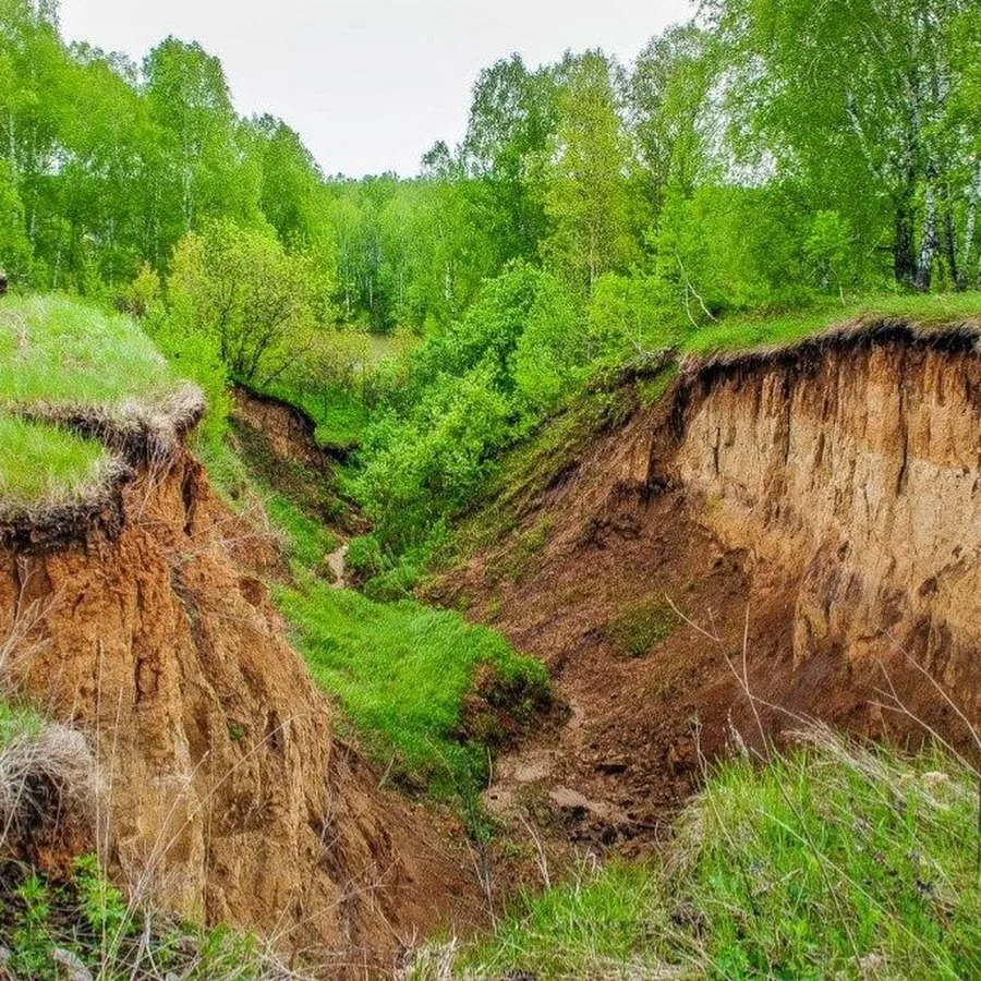 Типичный овраг. Изображение из открытых источников.