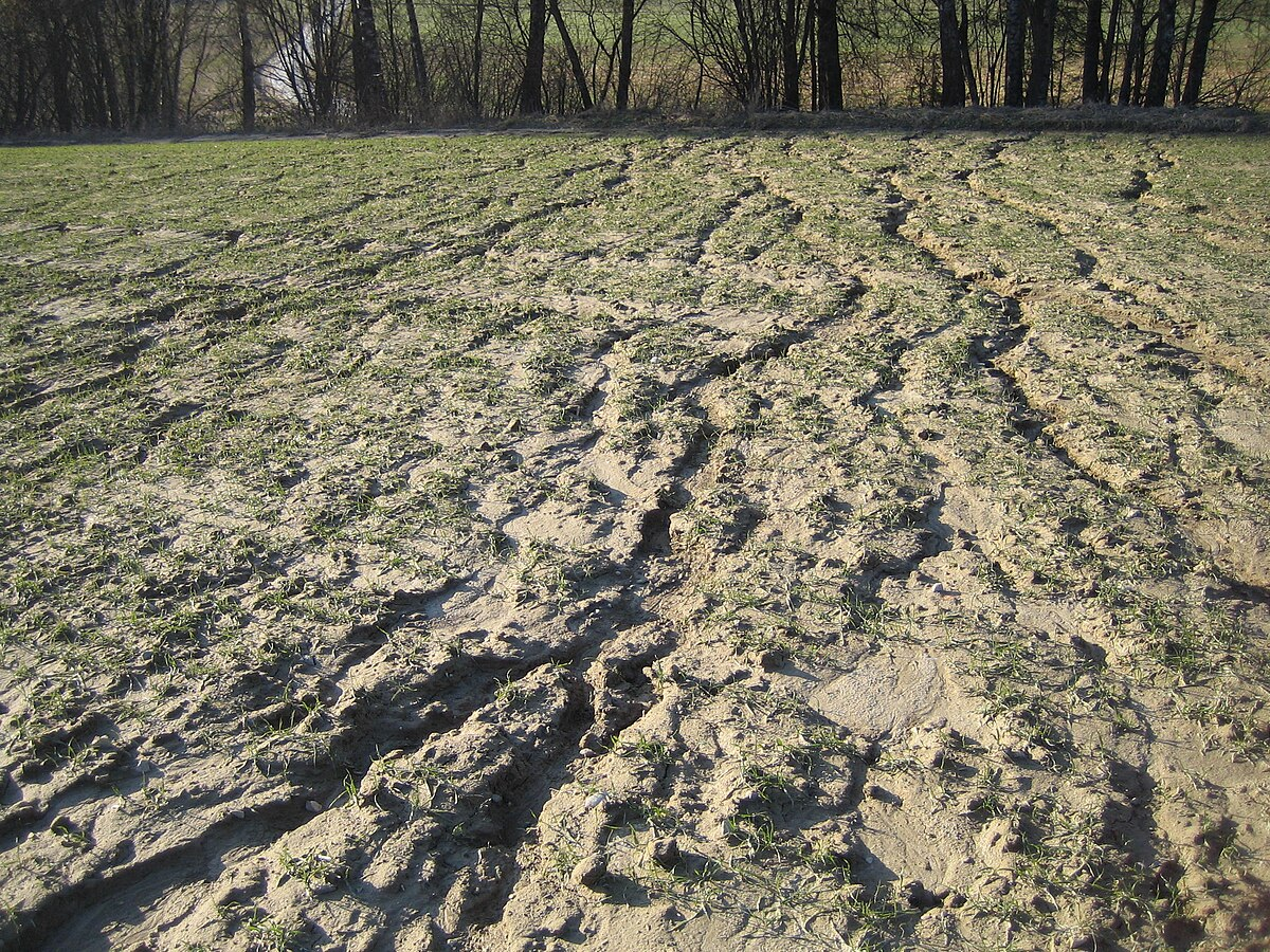 Эрозионные борозды. Изображение из открытых источников.