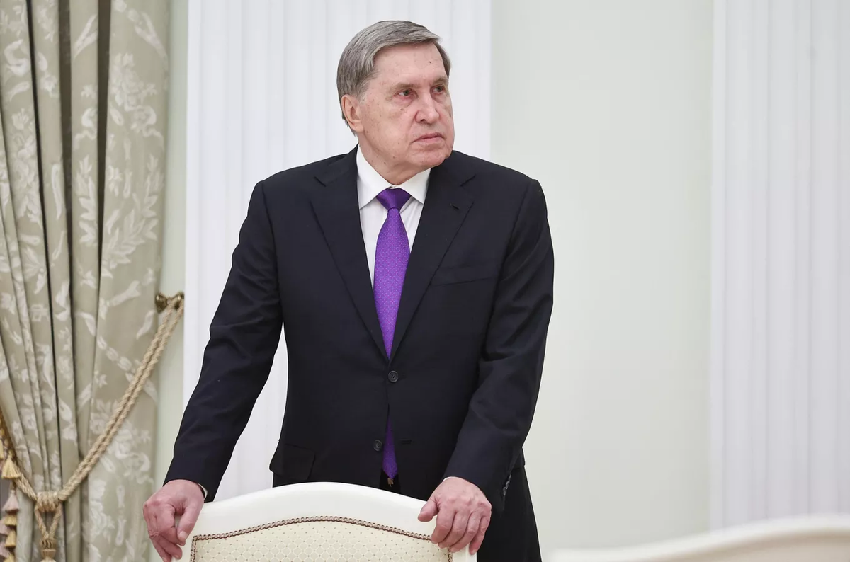 © Sputnik / Михаил Терещенко / POOL