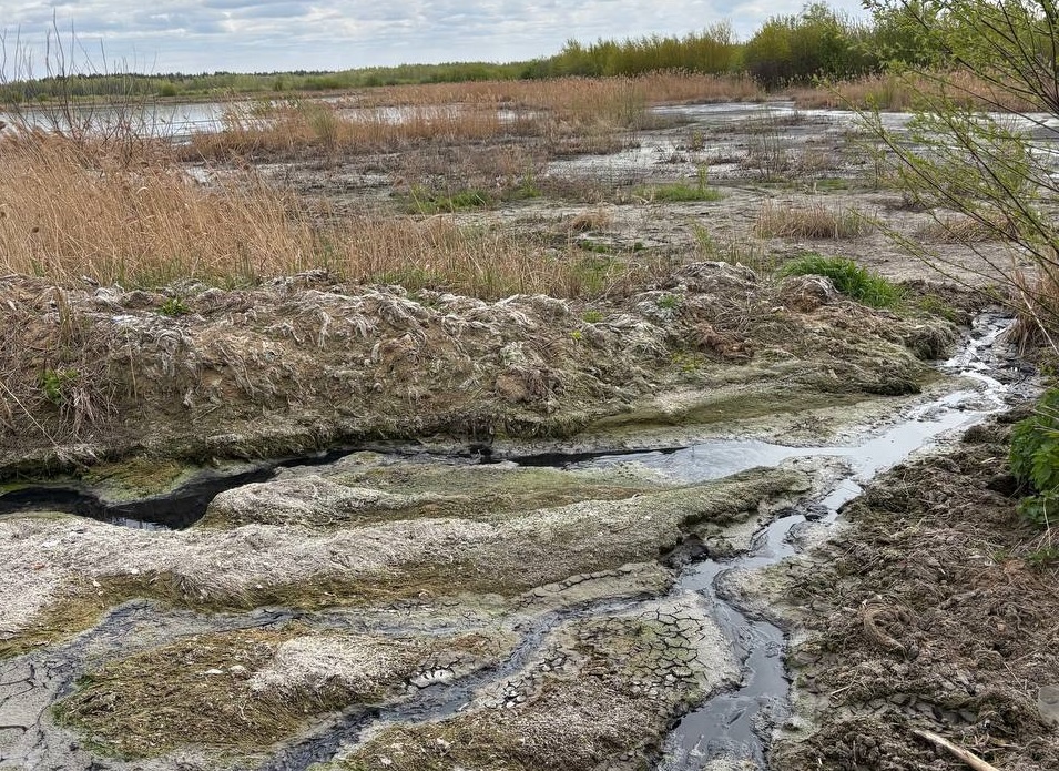    В ведомство поступили сообщения о том, предприятие сбрасывает недостаточно очищенные сточные воды с очистных в речку Гниличка