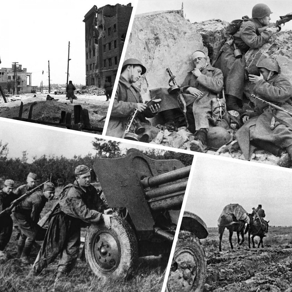 Фотографии военного времени - наша память о великом и страшном событии, пережитом нашей страной