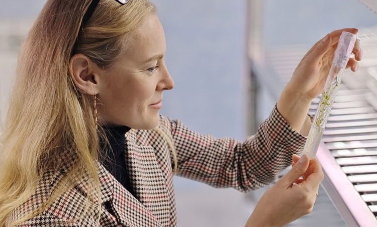     Российские ученые разработали программный комплекс для работы с большими данными о растениях
