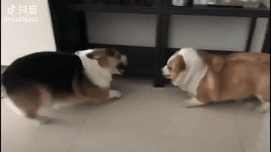 Именно так всё и было.