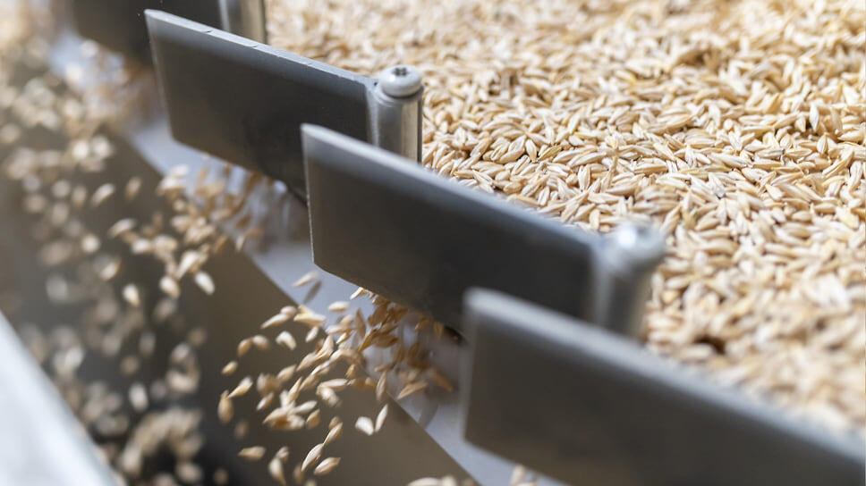 Фото: Игорь Елисеев / Коммерсантъ