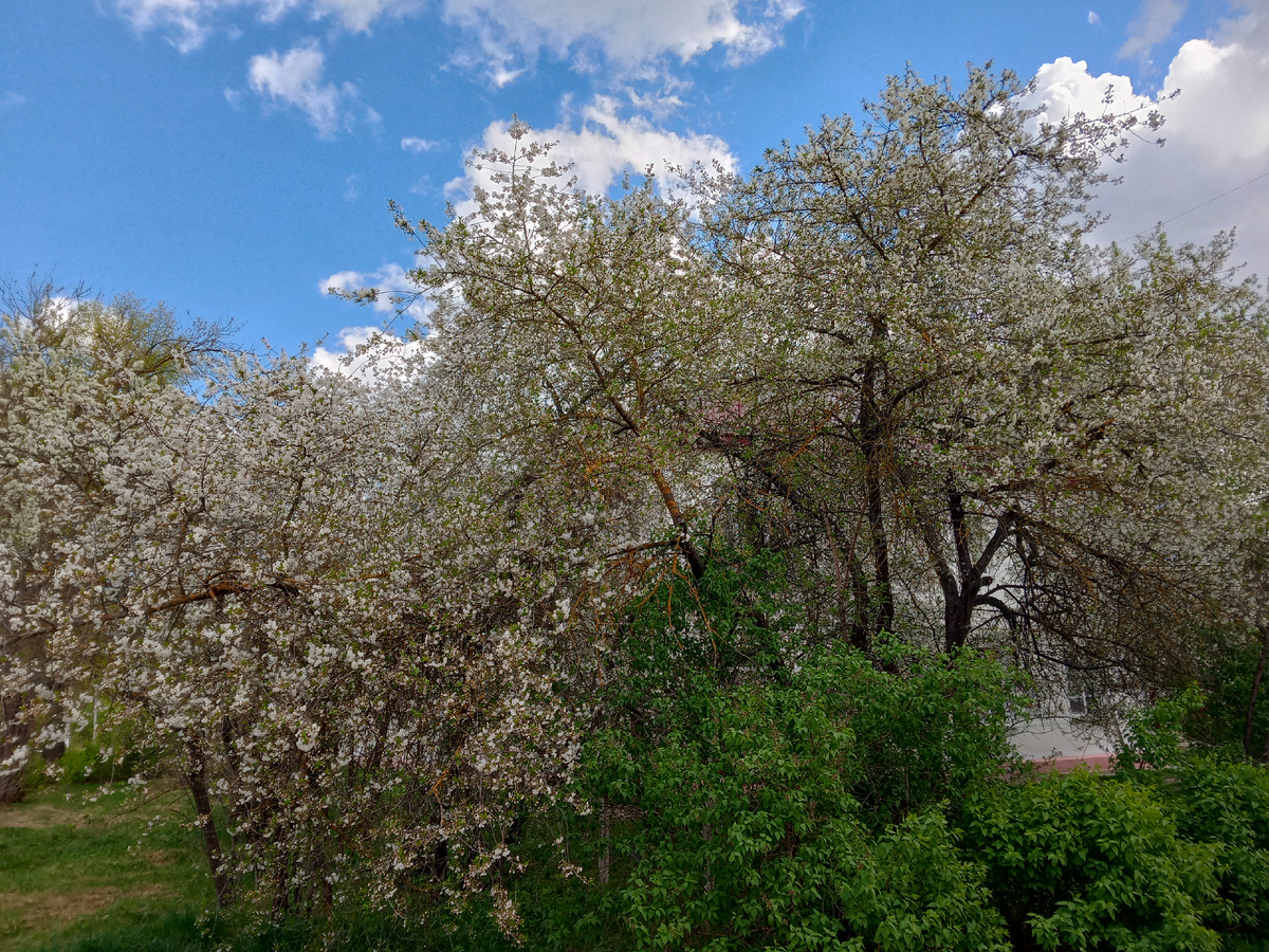 Фото автора.