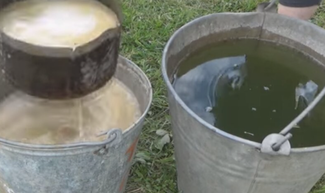 На ведро воды добавьте литр настоя