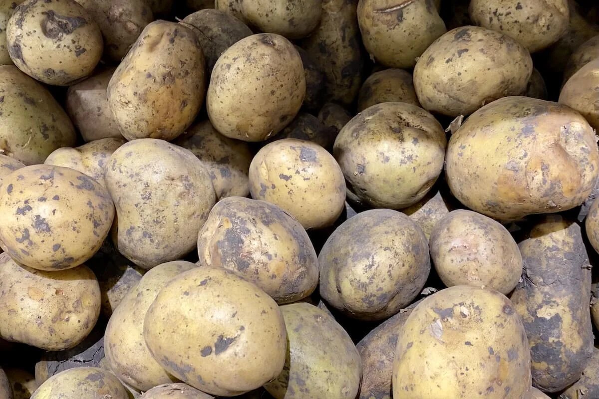 Фото: UfaTime.ru