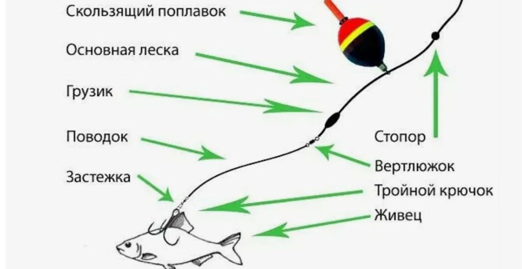 Щука на поплавок. Ловля щуки и окуня на живца поплавочной оснасткой