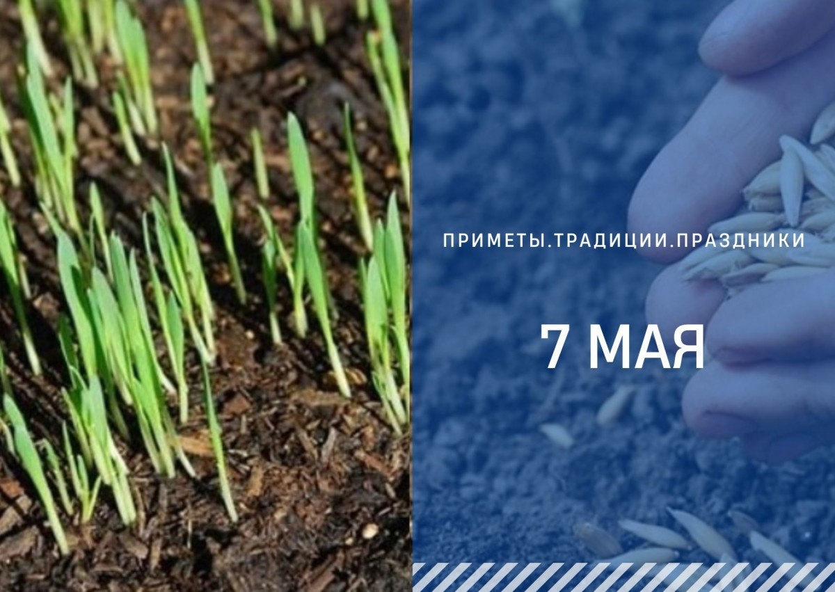   ГТРК "Ставрополье"