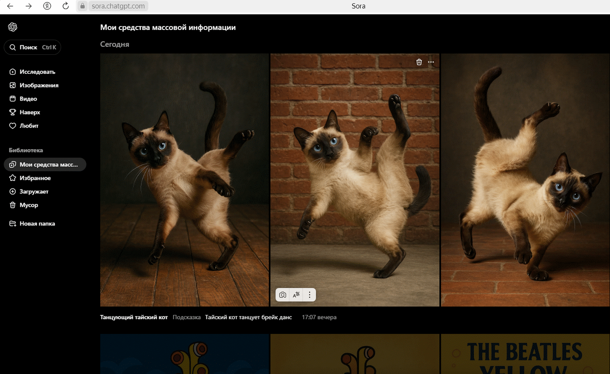 Sora от ChatGPT — мой скриншот
