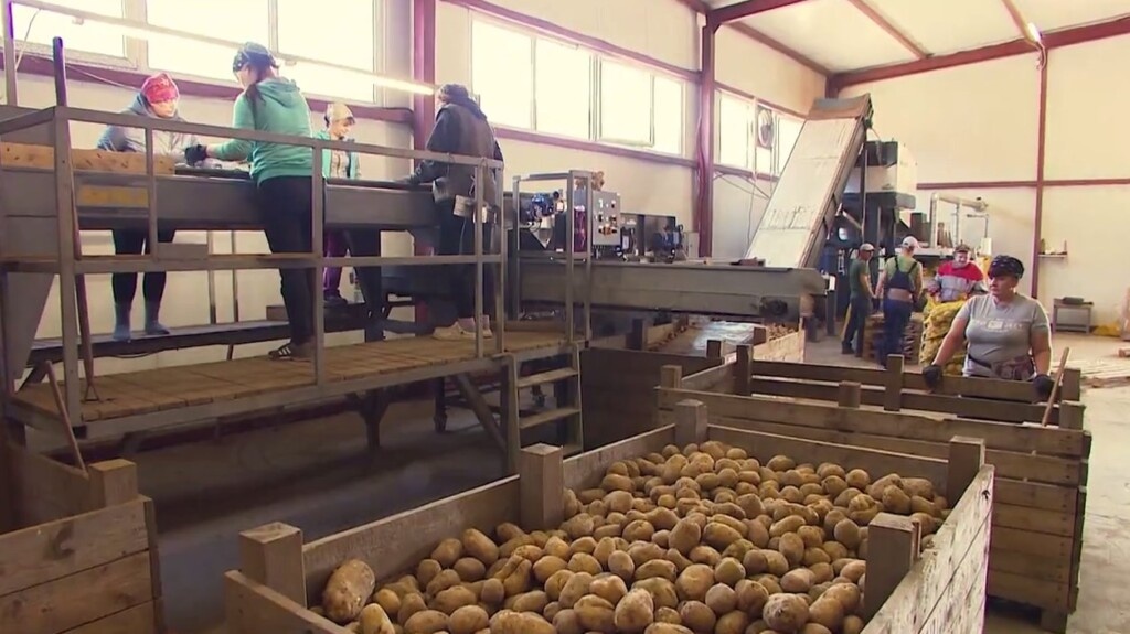 Фото: Pr Scr telegram.org / Минсельхоз Калининградской области