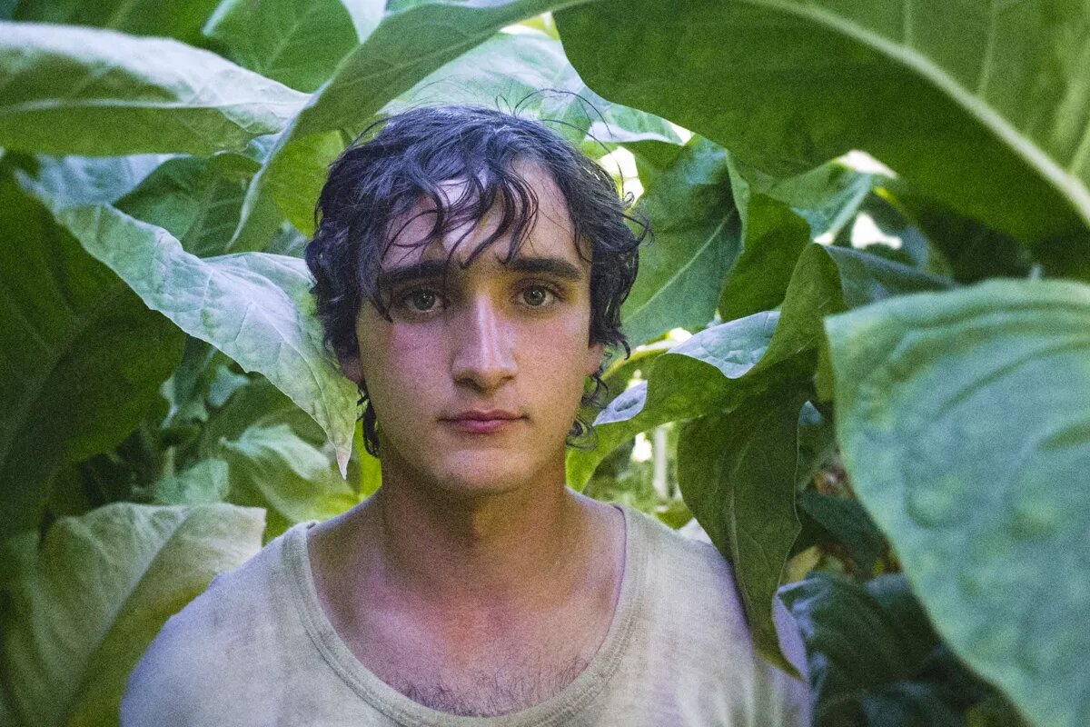 Кадр из фильма