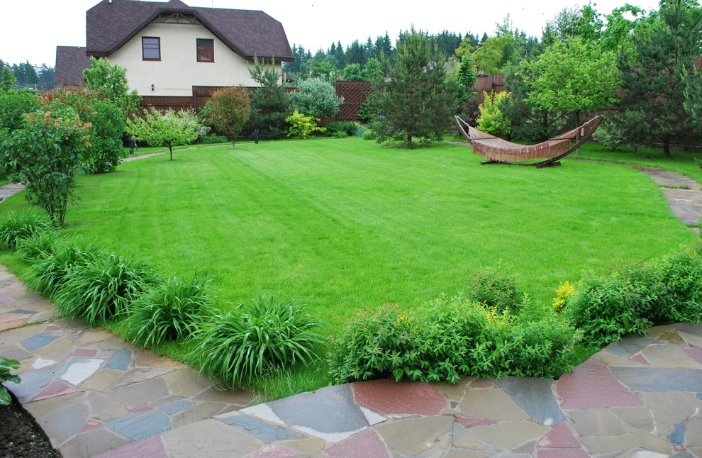 Идеальный газон