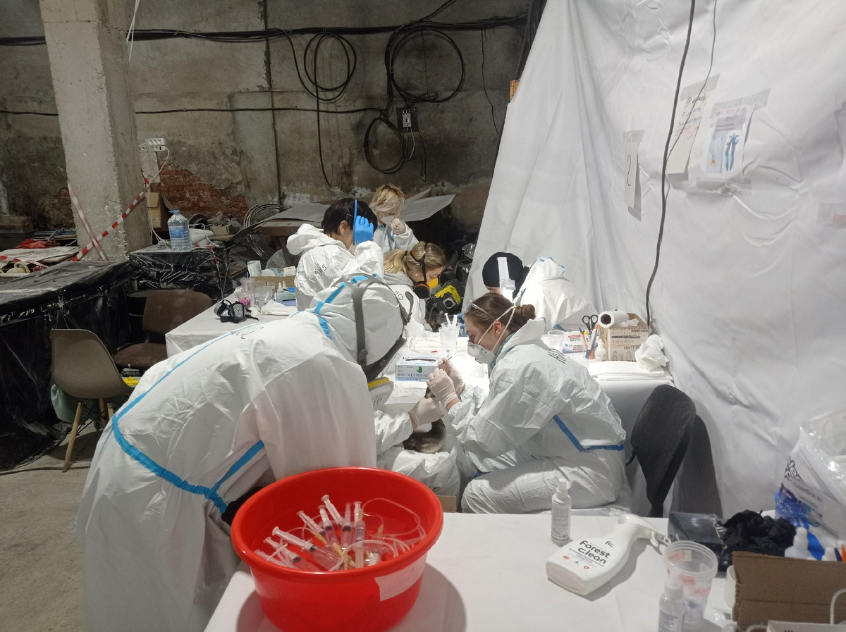 Выхаживание пострадавших от разлива мазута птиц