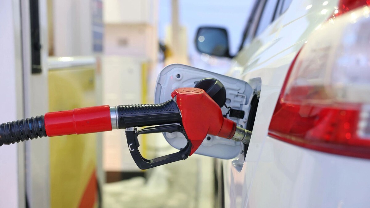    Фото: Андрей Ткачев/«Ямал-Медиа»