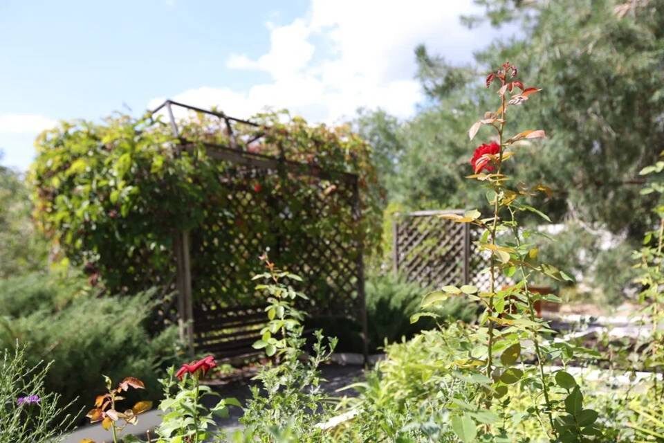    Фото: Данил Савченко / "Городские вести"