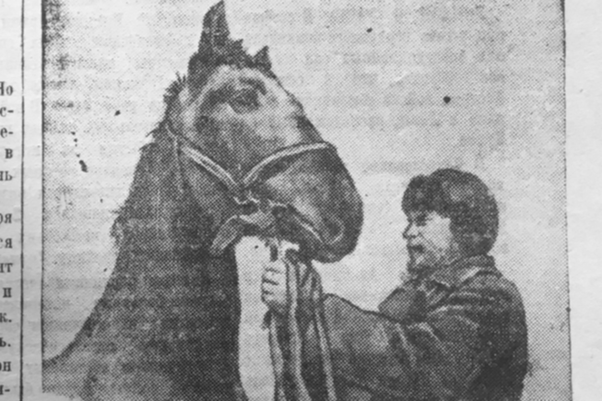 На фото С.Хабибулина — конюх колхоза имени Калинина Никифоровского района И.П. Топильский, награждённый Почётной грамотой обкома ВКП (б) и облисполкома, и конь-производитель Курган