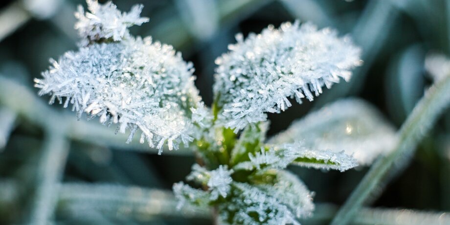 Фото: Москва 24/Лидия Широнина