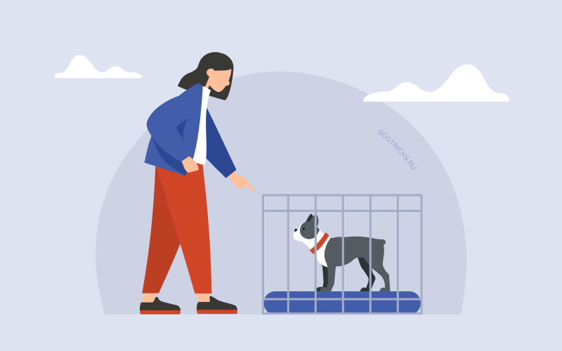 Источник: Сайт о дрессировке собак - как научить собаку командам и трюкам, игры с собакой, уроки, статьи - Dogtricks.ru