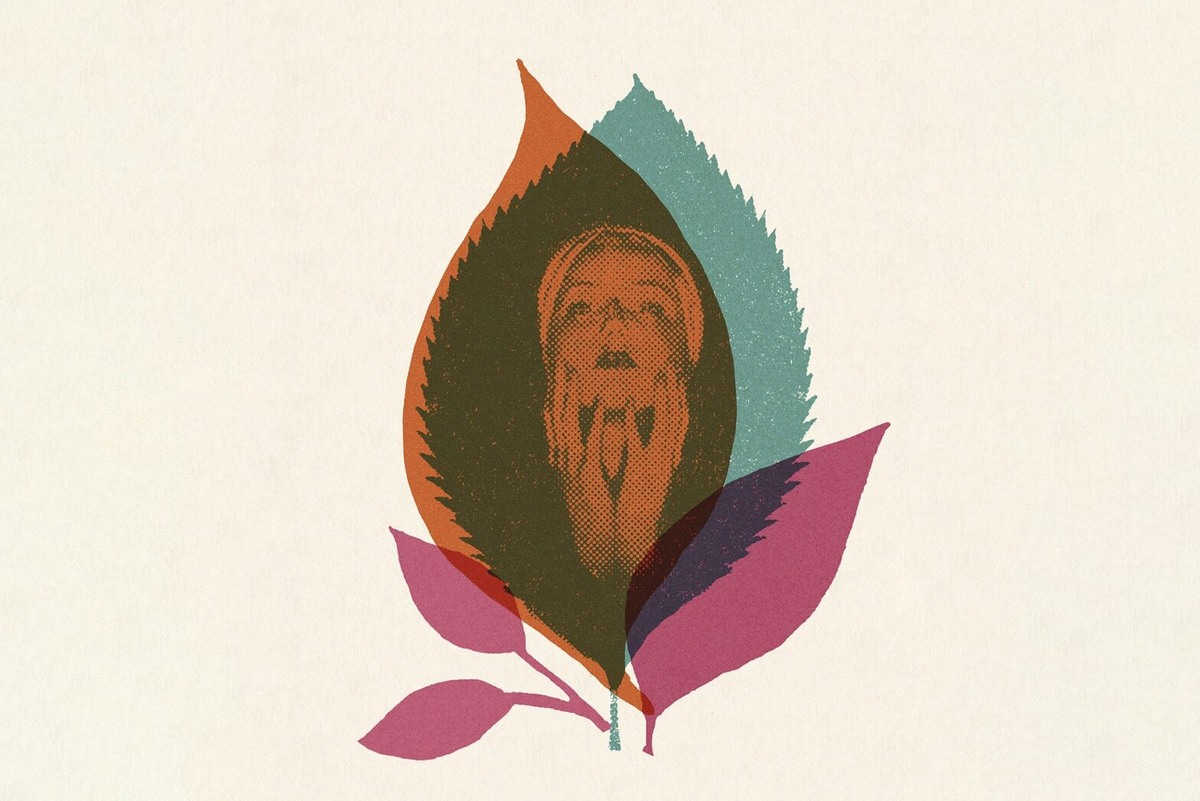    Фото: Getty Images, архивы пресс-служб