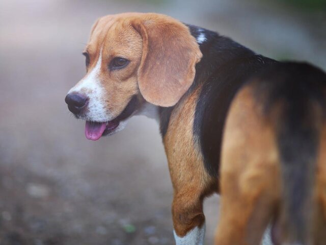    Фото: 123RF/kobkik