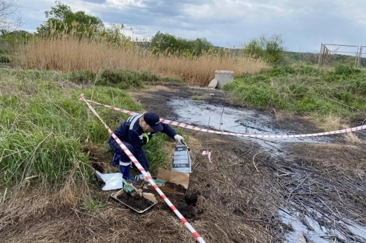    Почти 2 млн рублей потребовали с воронежской стройфирмы за ущерб почвам