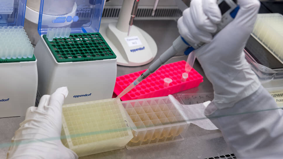 Фото: Евгений Павленко / Коммерсантъ