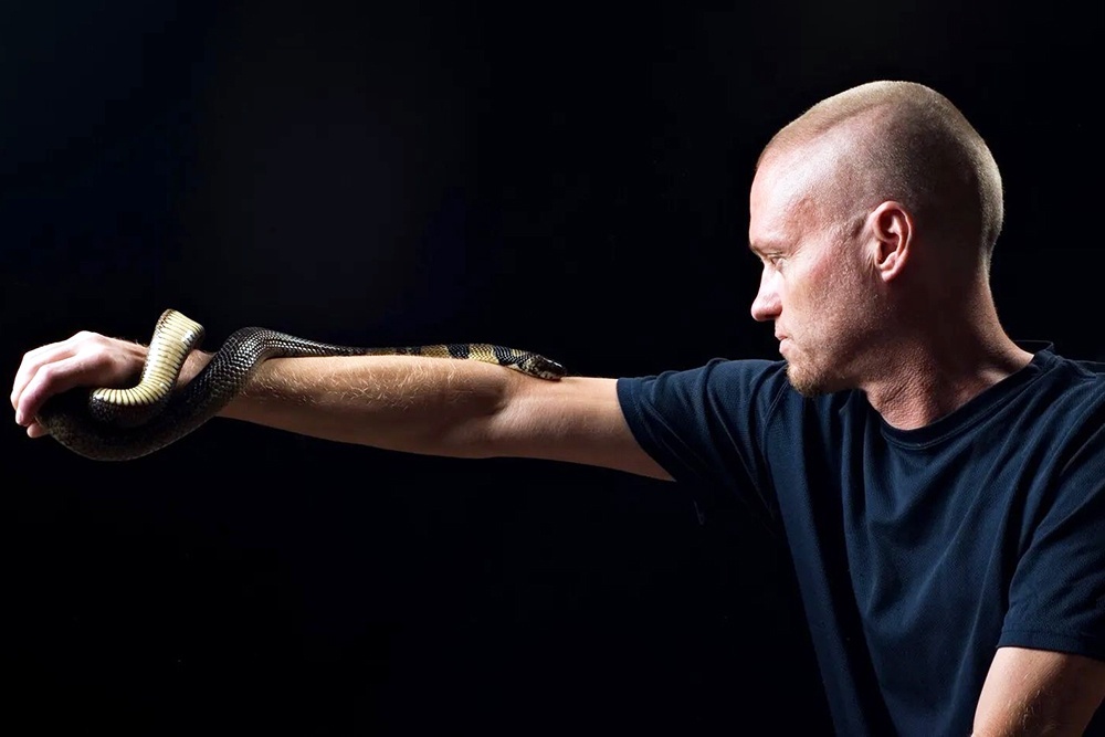 Фото https://yandex.ru/images/