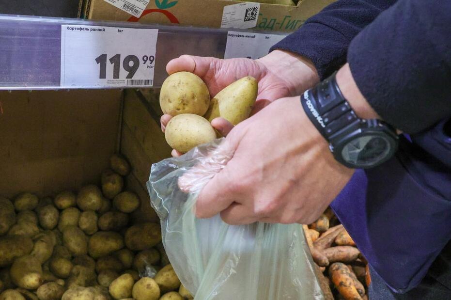    Наталья Шатохина/NEWS.ru