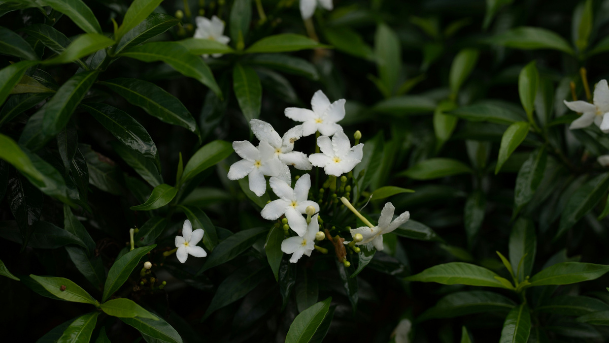 Картинка с бесплатного фотостока https://unsplash.com, автор Panha Kang