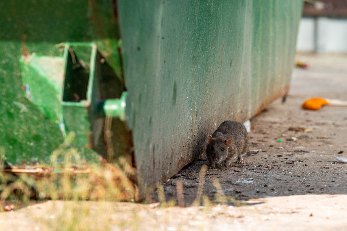 Фото: Тульская служба новостей