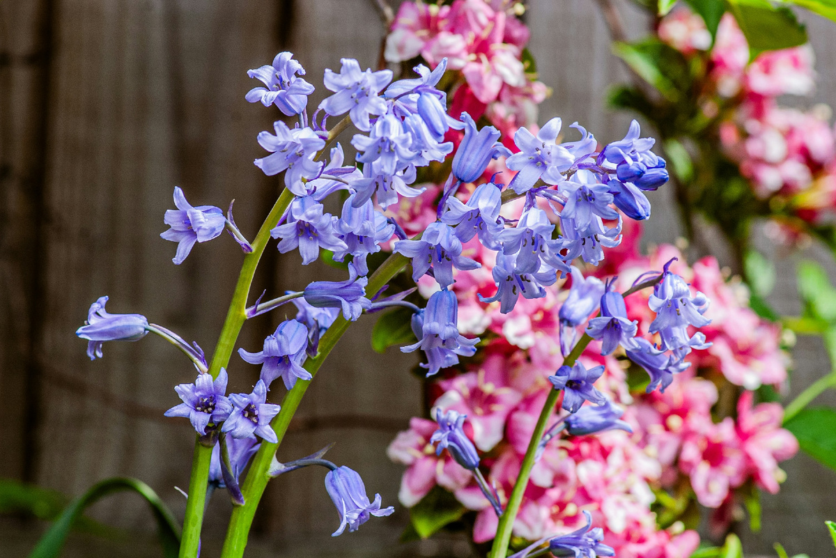 Картинка с бесплатного фотостока https://unsplash.com, автор Yoksel 🌿 Zok