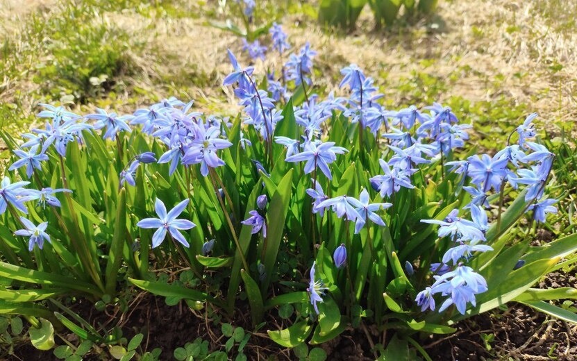    Погода в Ижевске на день: 7 мая ждем резкое похолодание