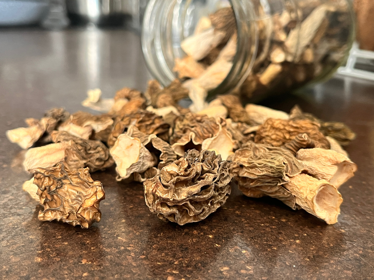 Сушёные сморчковые шапочки сбора 2025 г.