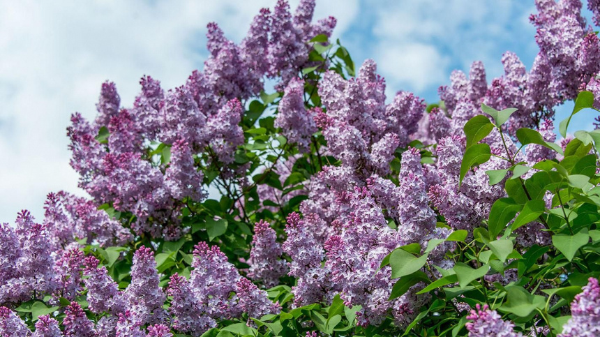    Фото: Официальный портал Мэра и Правительства Москвы/mos.ru