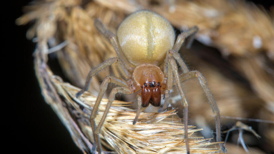 Фото: © Global Look Press/IMAGO/W. Willner