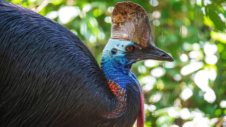 Фото: © Global Look Press/Tara Malhotra/Keystone Press Agency