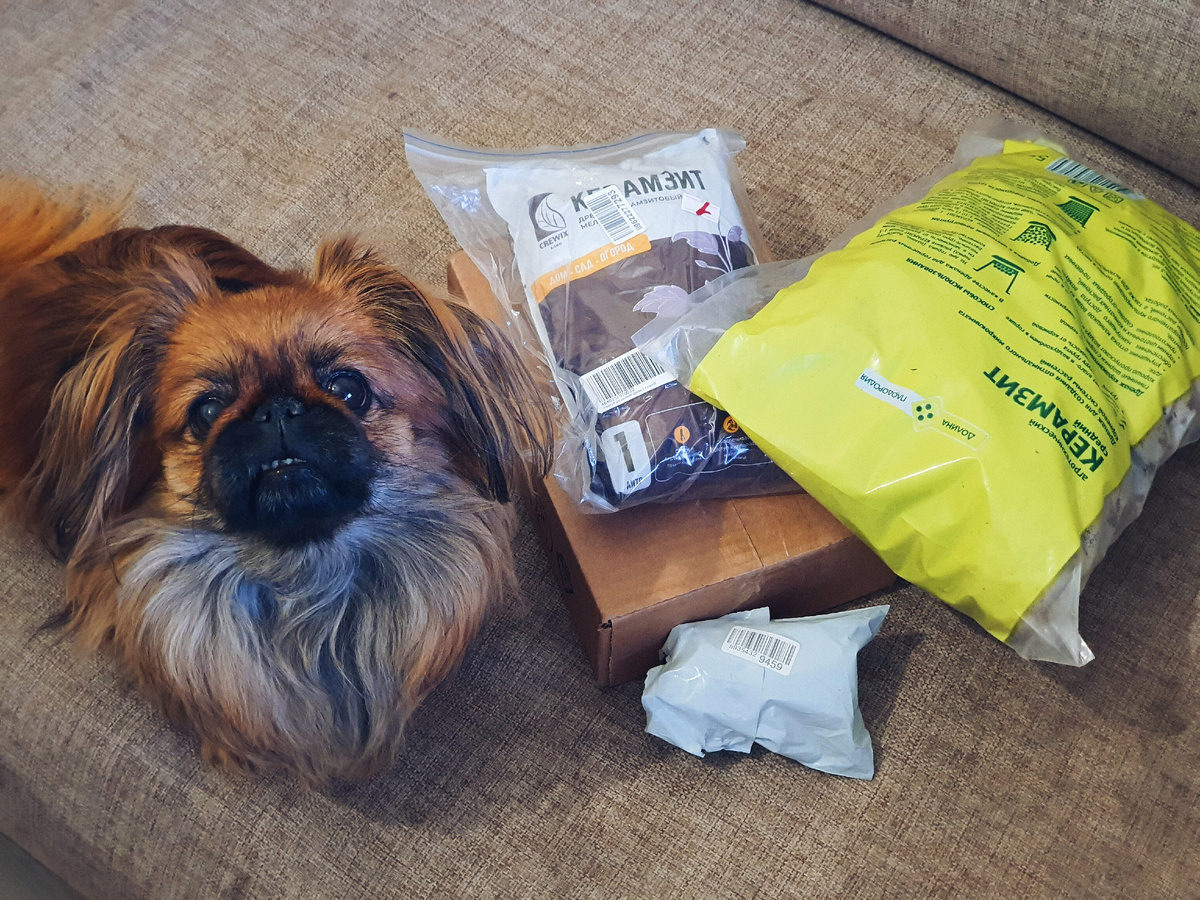 Спейси и мои последние покупки на маркетплейсе